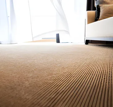 How To Find The Best Pet Odor And Stain Remover In Brooklyn - 